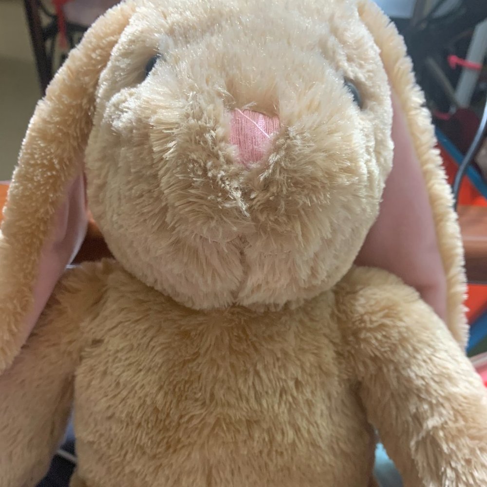 *SCENTED* PAWLETTE BUNNY BUILD A BEAR